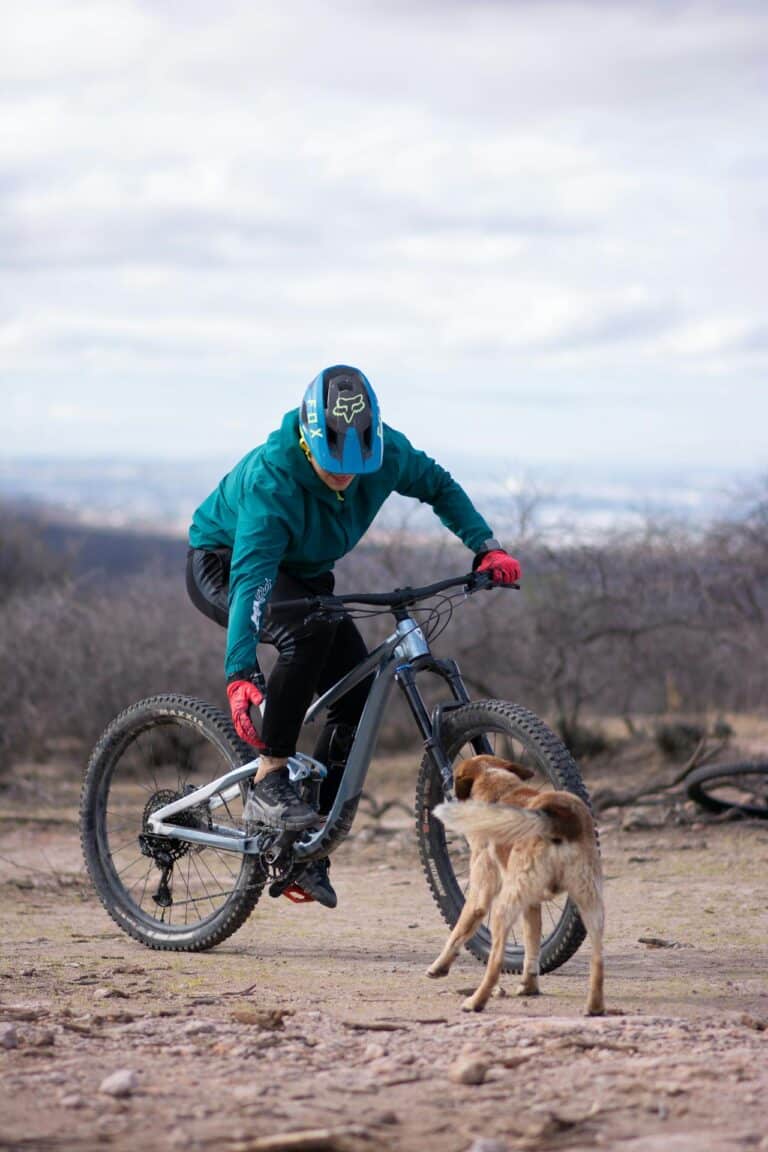 Bike Insurance with pet